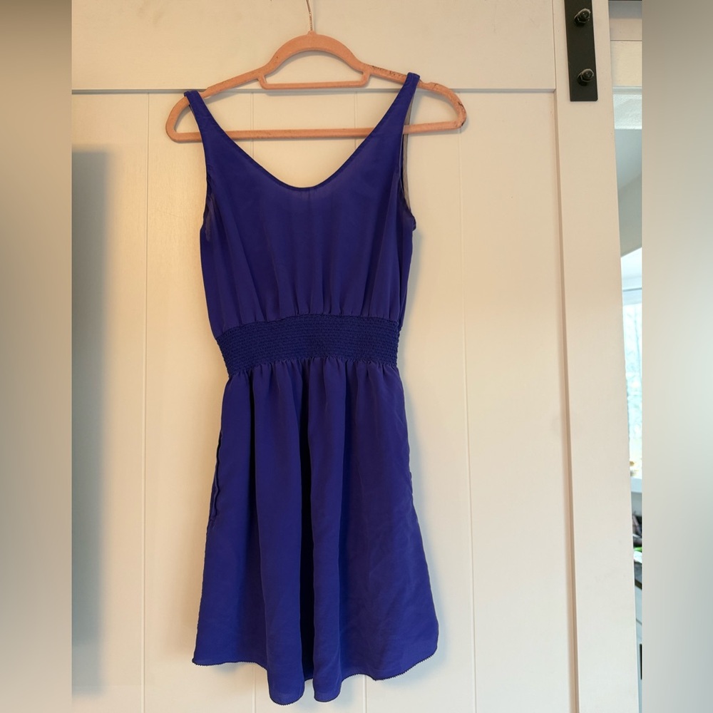 Aritzia Babaton Silk dress with pockets